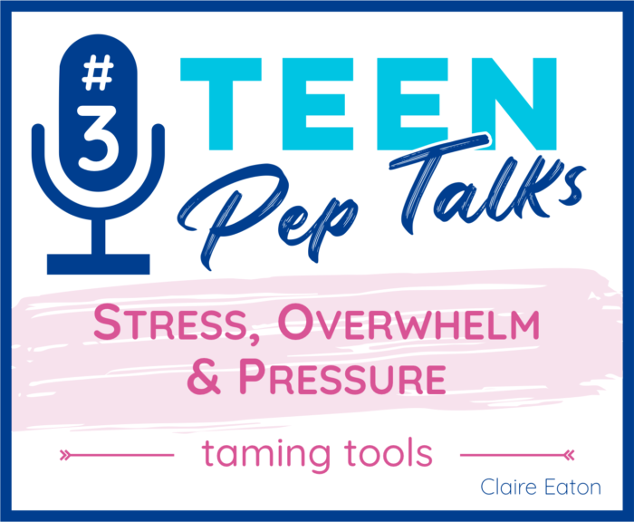#3 STRESS, OVERWHELM & PRESSURE